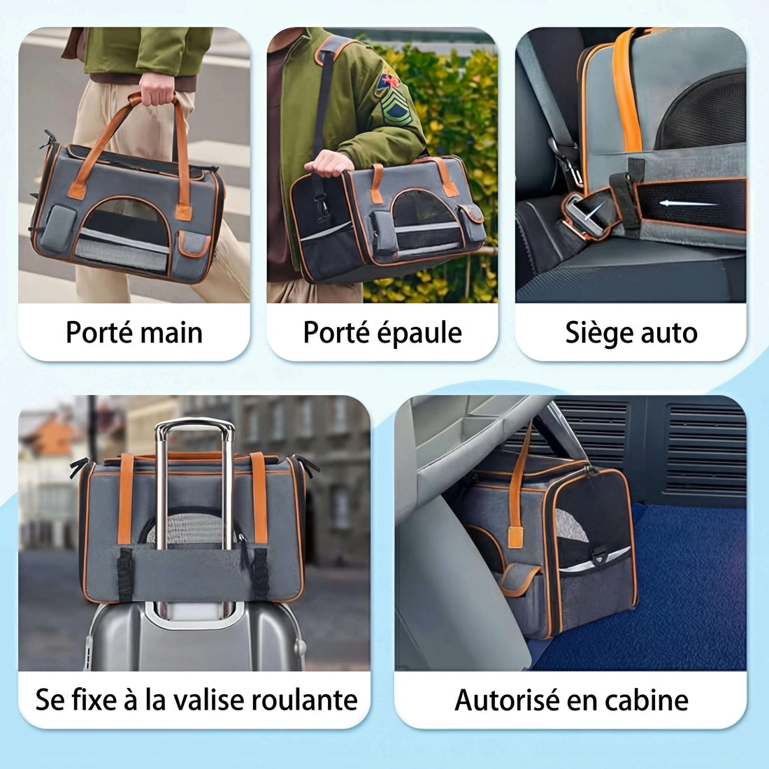 Sac de transport pour chat XXL, épaule, siège auto, valise roulante, cabine avion