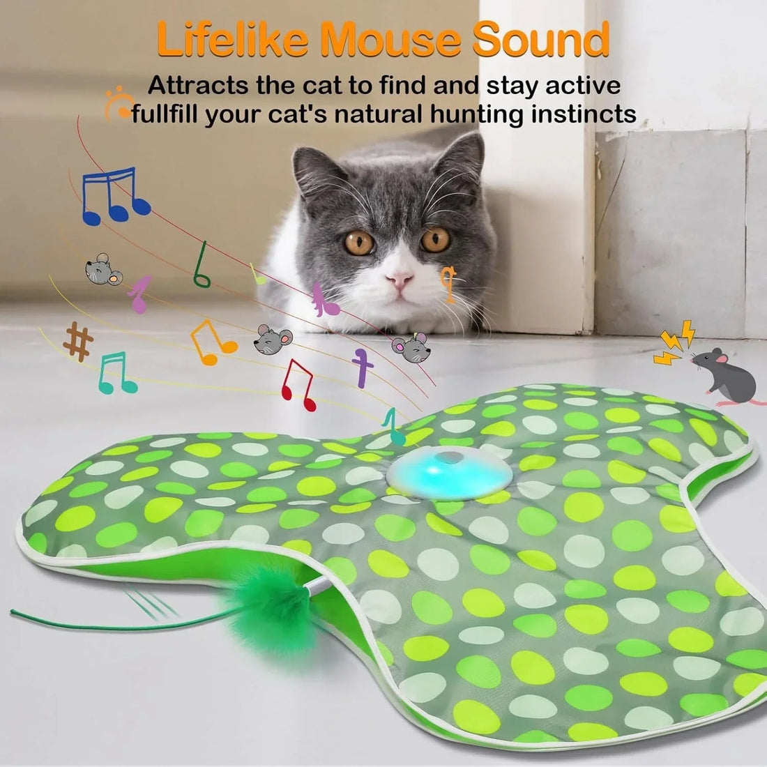Tapis de jeu électrique cache-cache pour chat