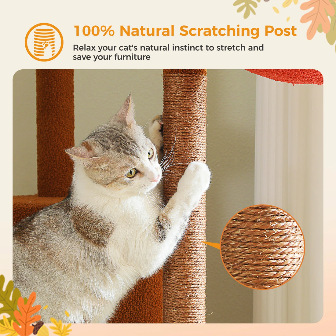Arbre à chat télescopique multi-niveaux