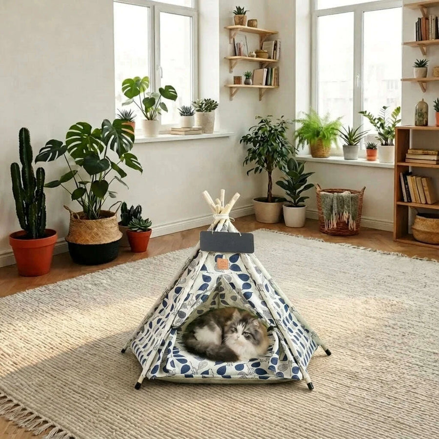 Design & style