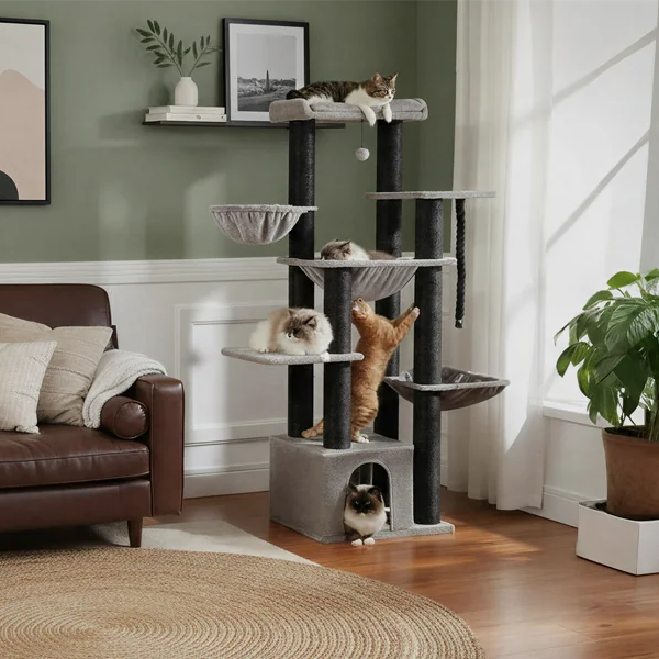 arbre à chat maine coon jpg