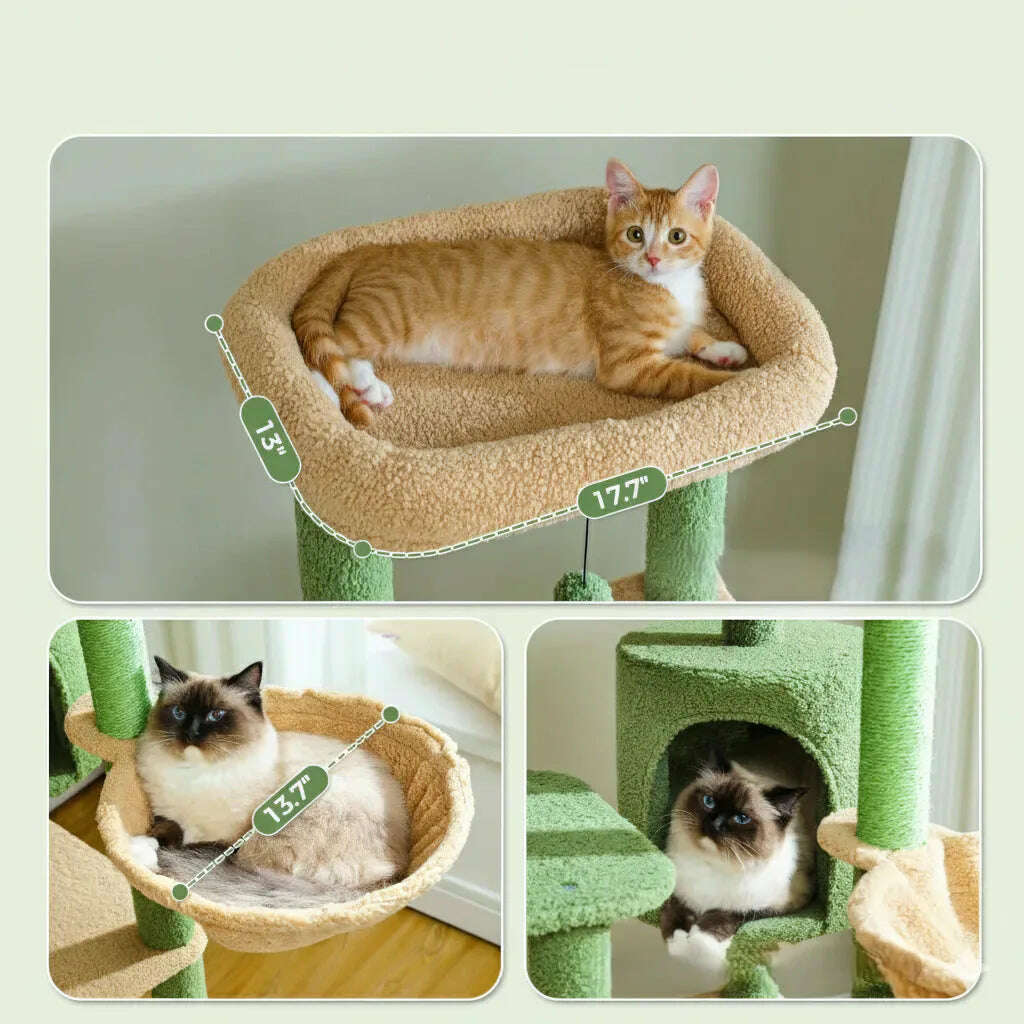 Arbre à chat vert foncé, plateformes et griffoir sisal