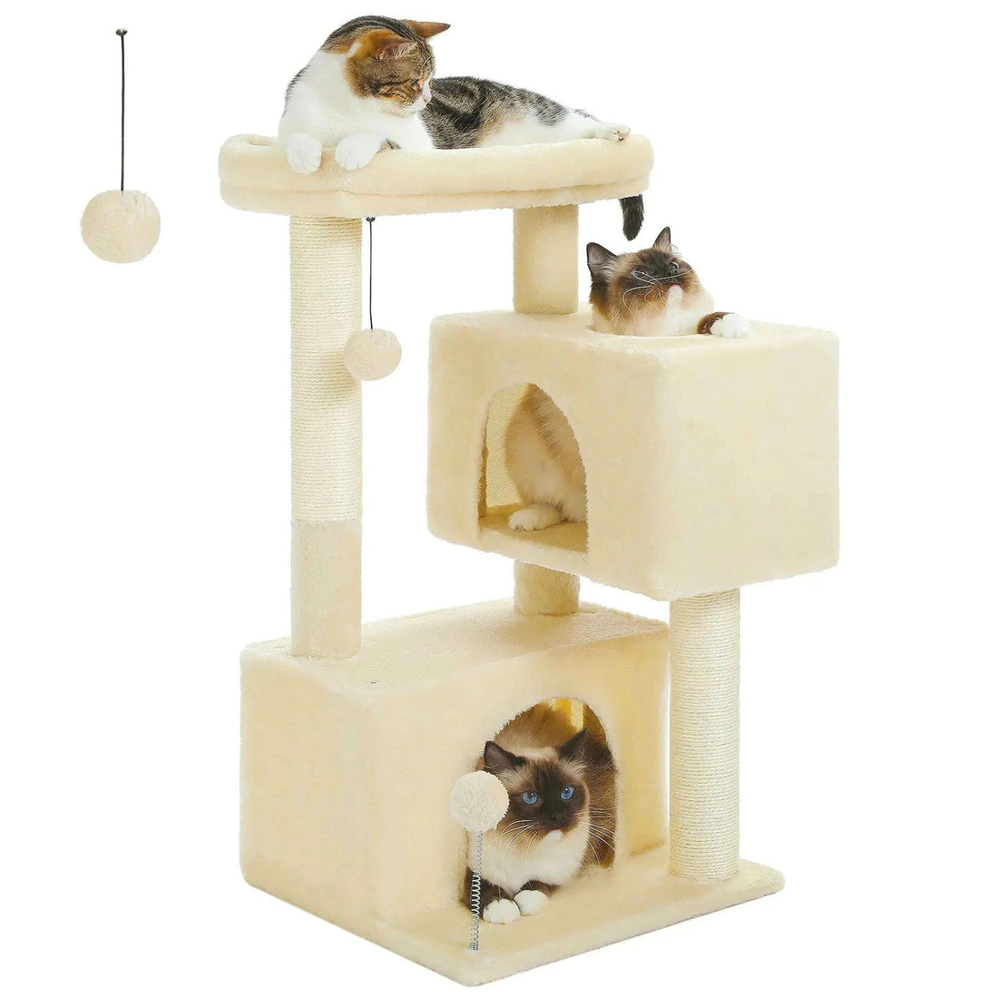 Mini arbre à chat, de profil