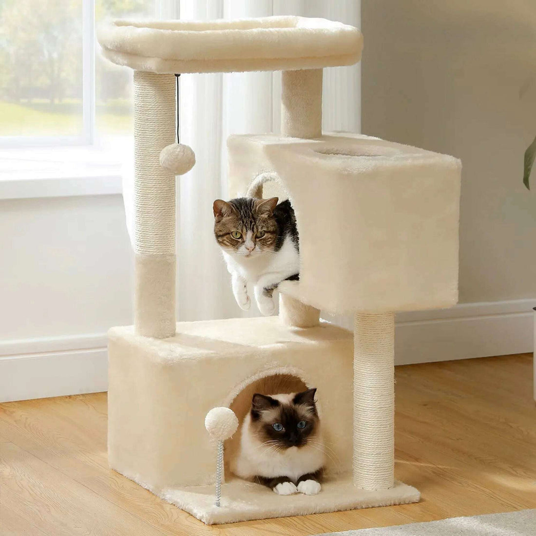 Mini arbre à chat, plateformes et griffoir sisal