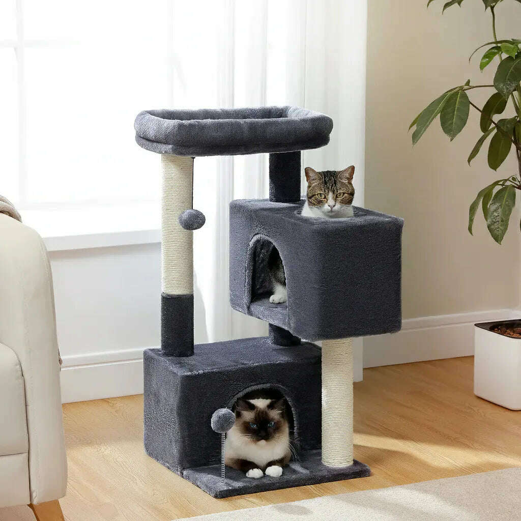 Mini arbre à chat, en situation salon