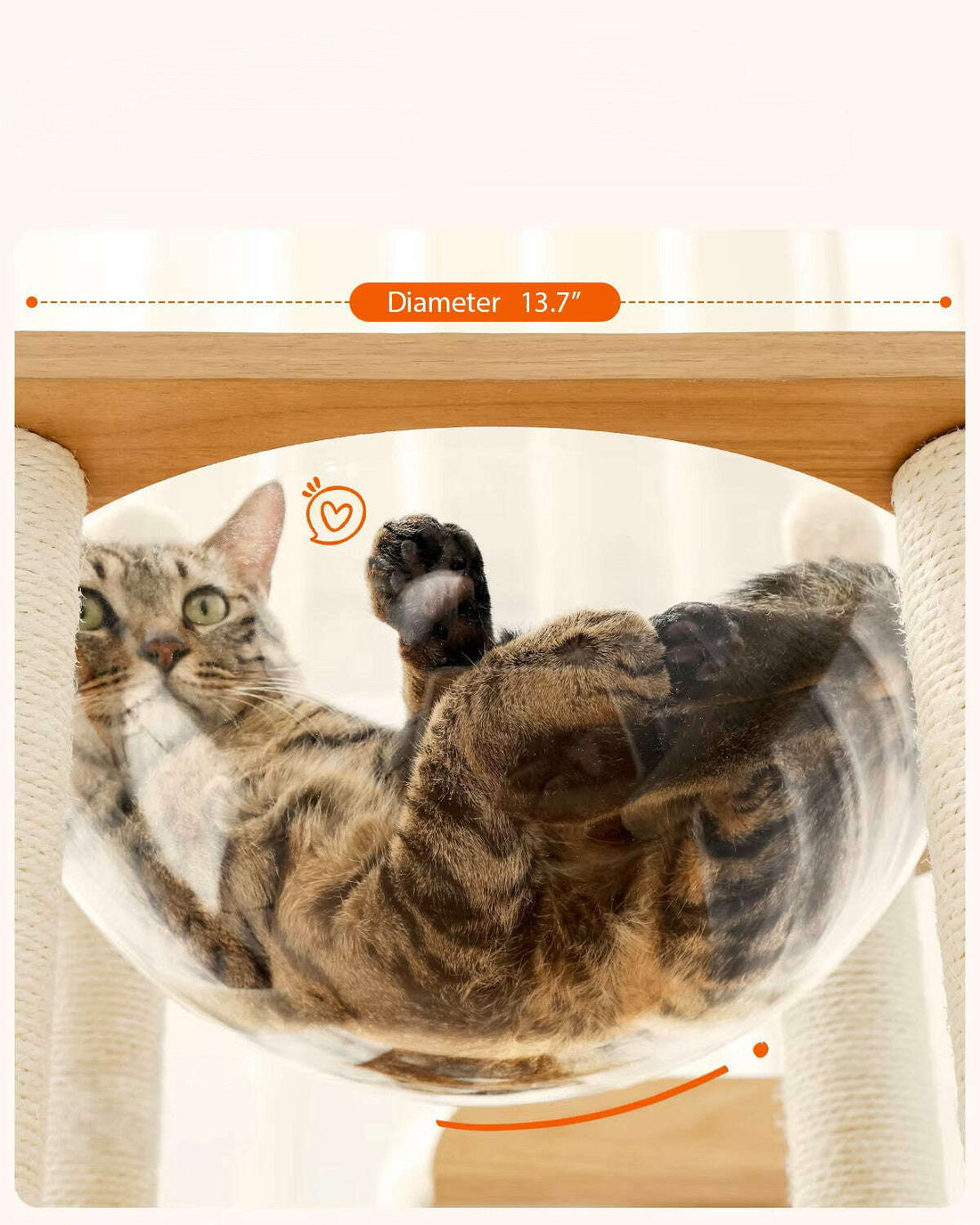 Arbre à chat design en bois clair — en situation