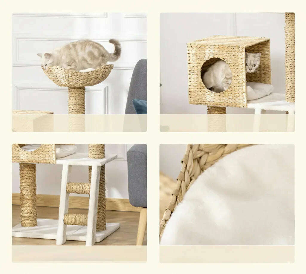 Arbre à chat en osier tressé design, vue arrière