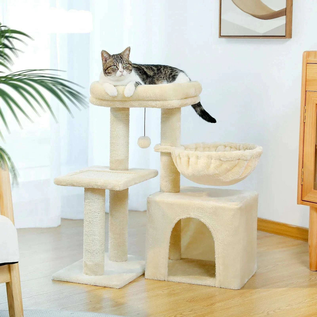 Arbre à chat compact, vue de face