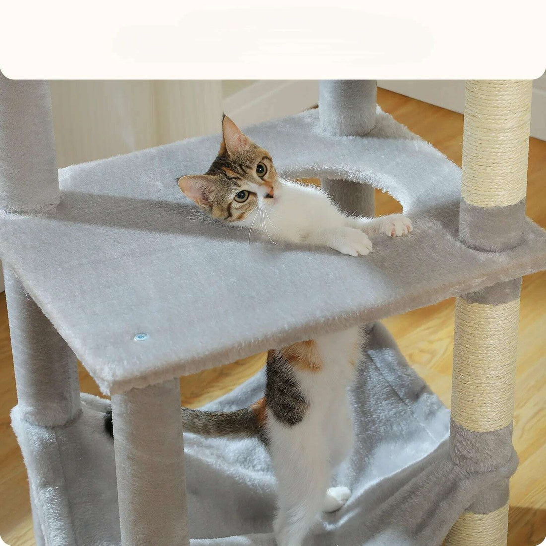 Chaton allongé sur la plateforme grise avec trou, vue plongeante vers le hamac en contrebas