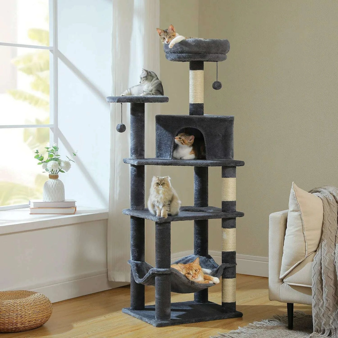Quatre chats de pelages variés répartis sur la version gris anthracite en salon