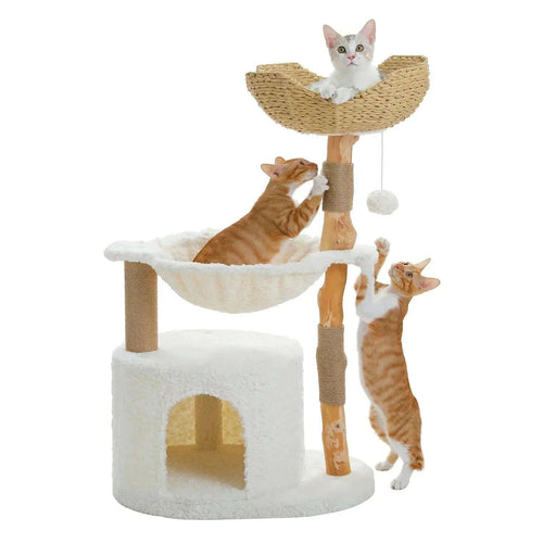 Arbre à chat en bois massif naturel
