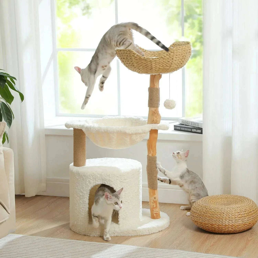 Arbre à chat en bois massif naturel
