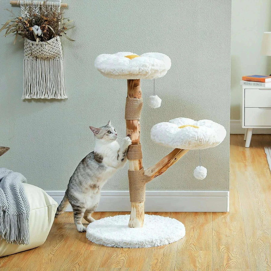 Design & style