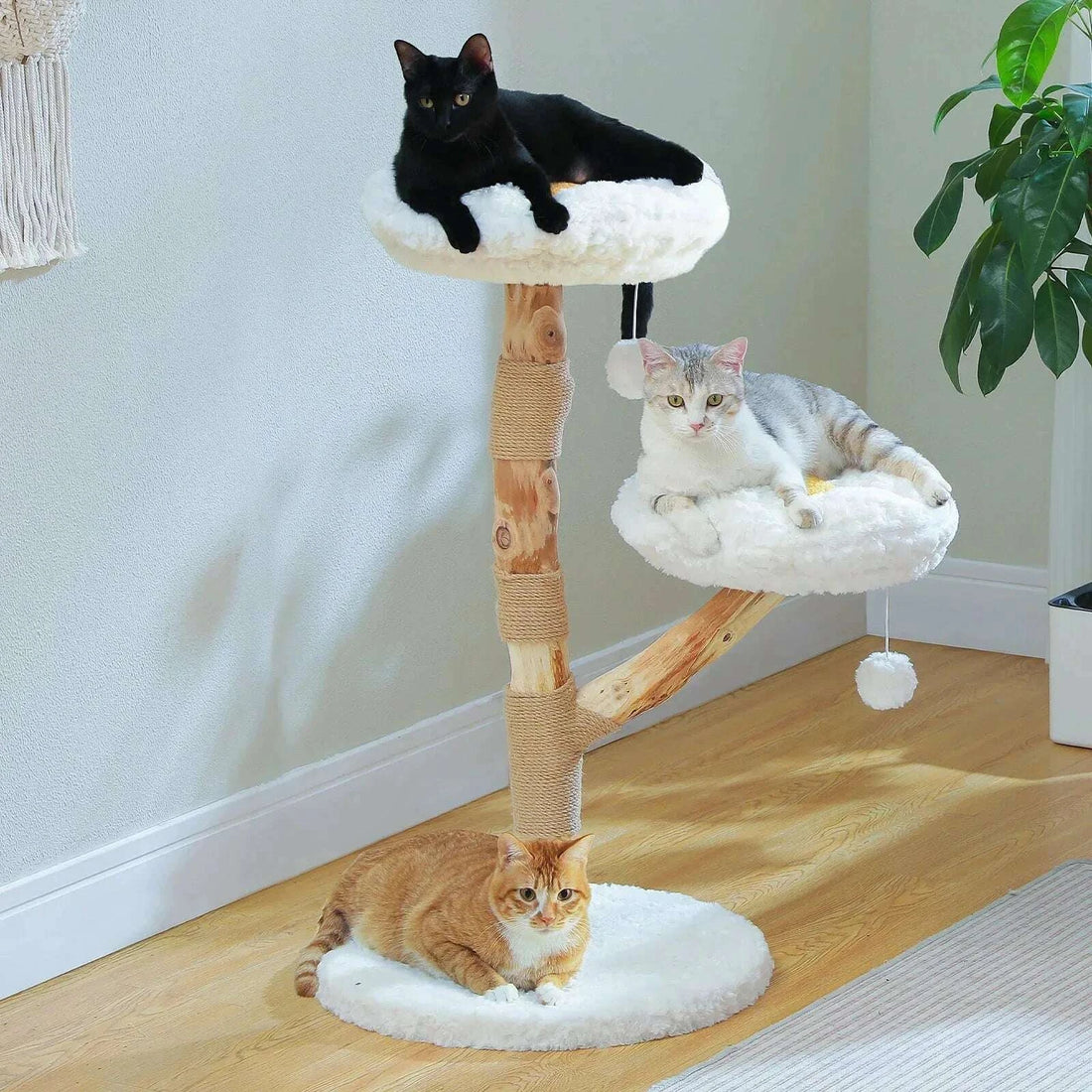 Arbre à chat design en bois naturel — vue de côté