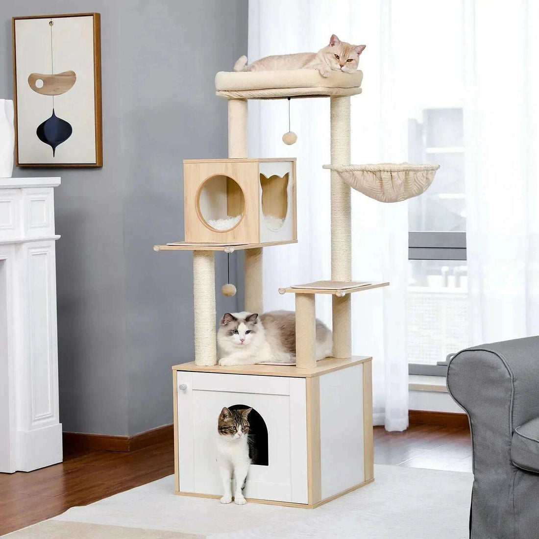 Arbre à chat cache-litière, vue d'ensemble