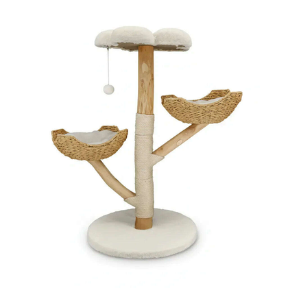 Arbre à chat griffoir en bois massif avec sisal
