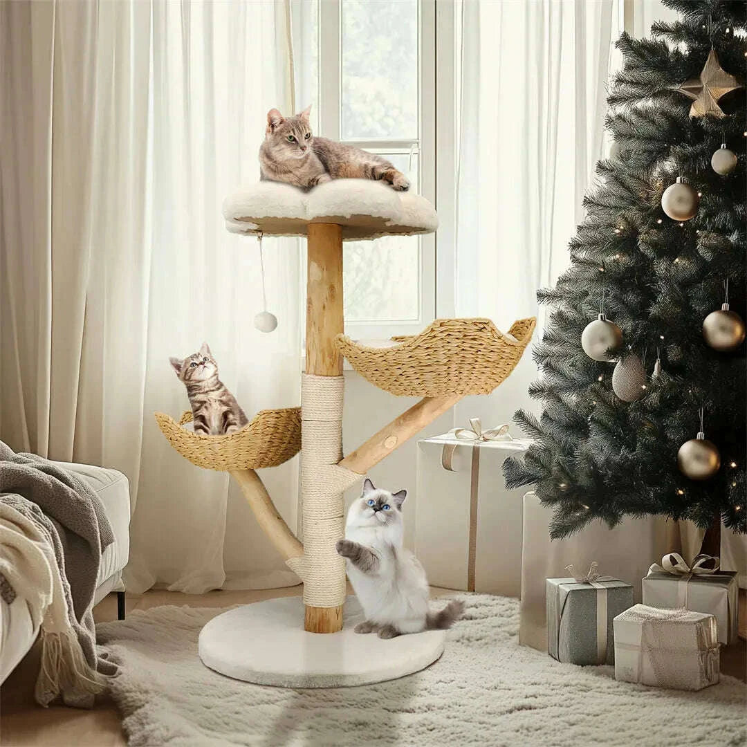 Arbre à chat griffoir en bois massif avec sisal