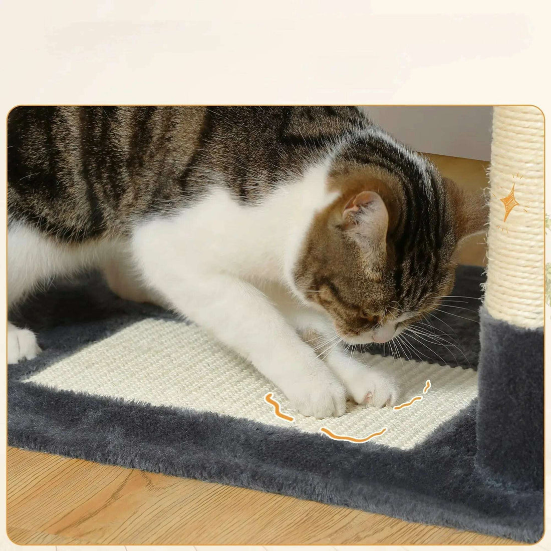 Gros arbre à chat, niche et hamac