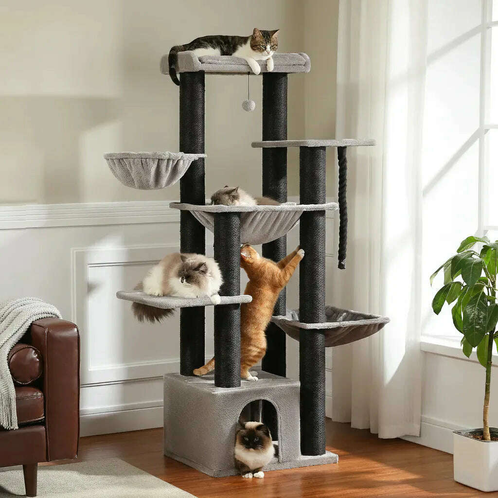 Arbre à chat en bois flotté, de profil