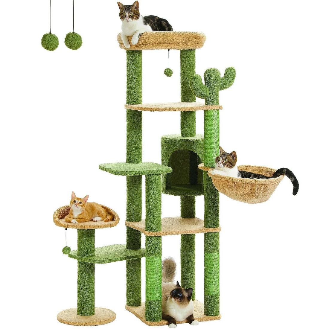Arbre à chat maine coon style désert, vue arrière