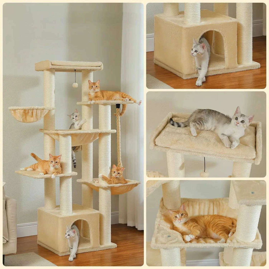 Arbre à chat solide pour Maine Coon — vue arrière