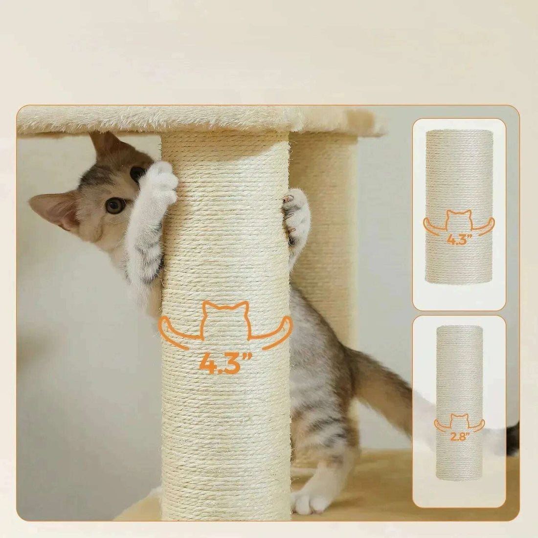 Arbre à chat solide pour Maine Coon — détail