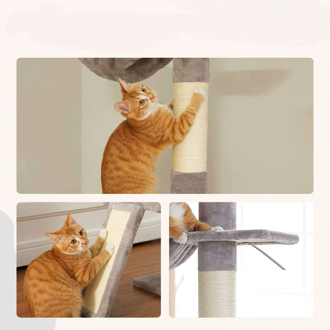 Trois vues rapprochées d'un chat roux griffant le poteau en sisal, la rampe inclinée et une plateforme