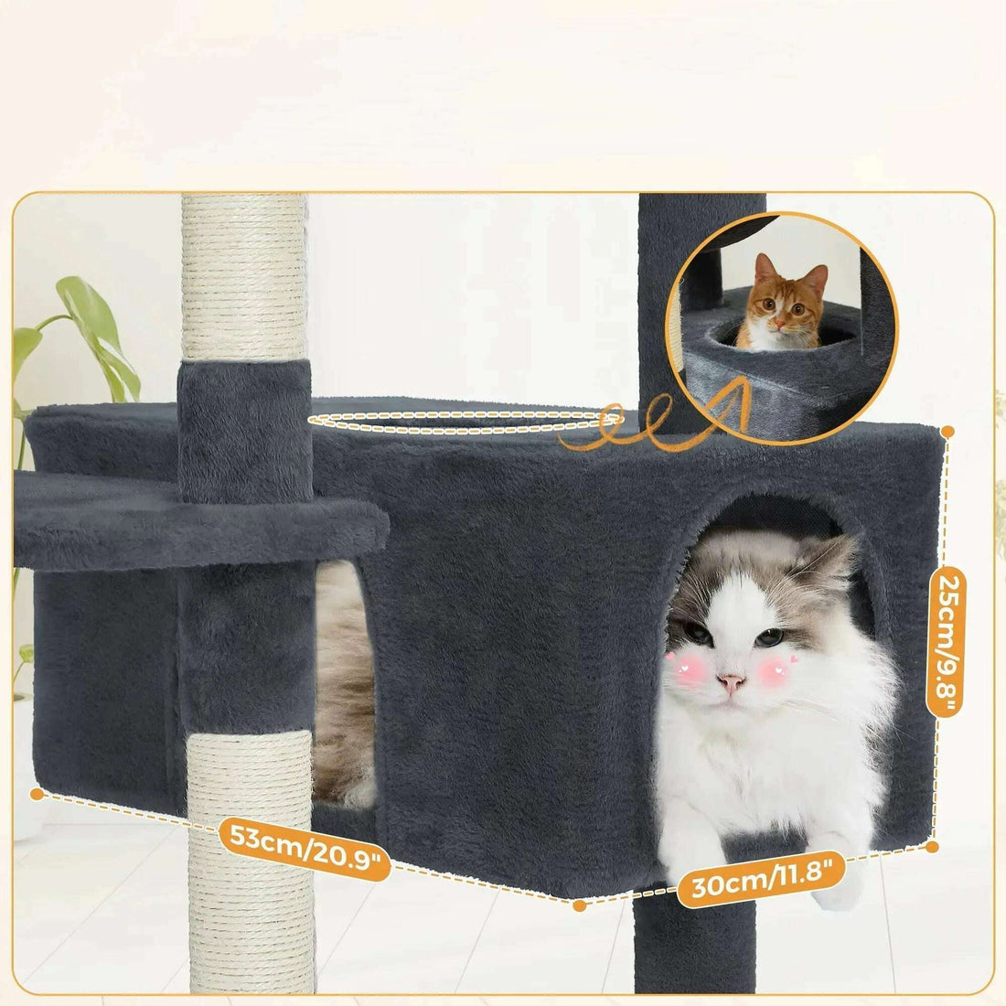 Arbre à chat pas cher avec griffoirs et plateformes