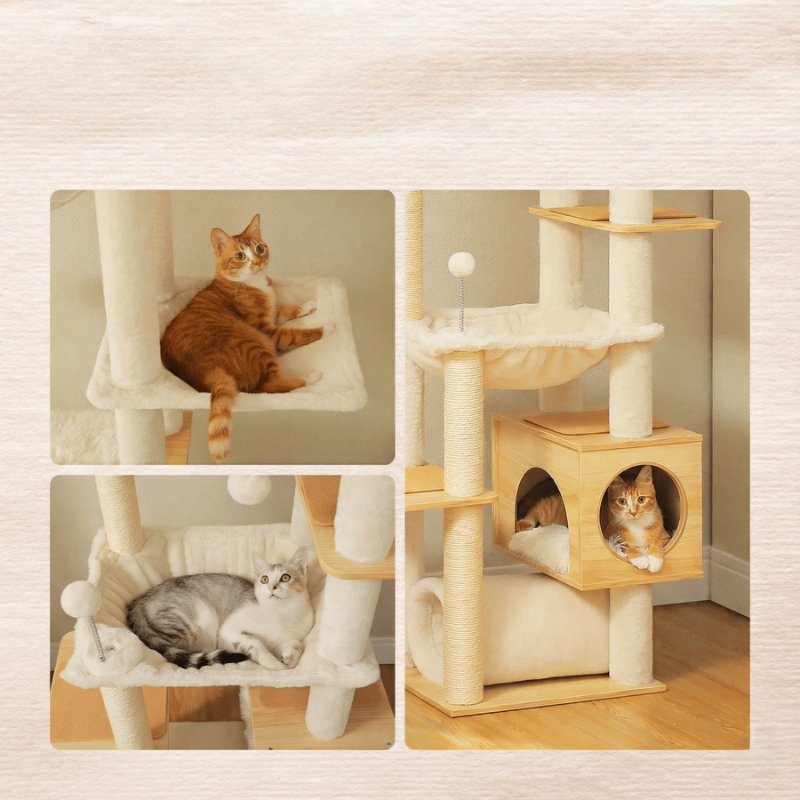 Confort & repos