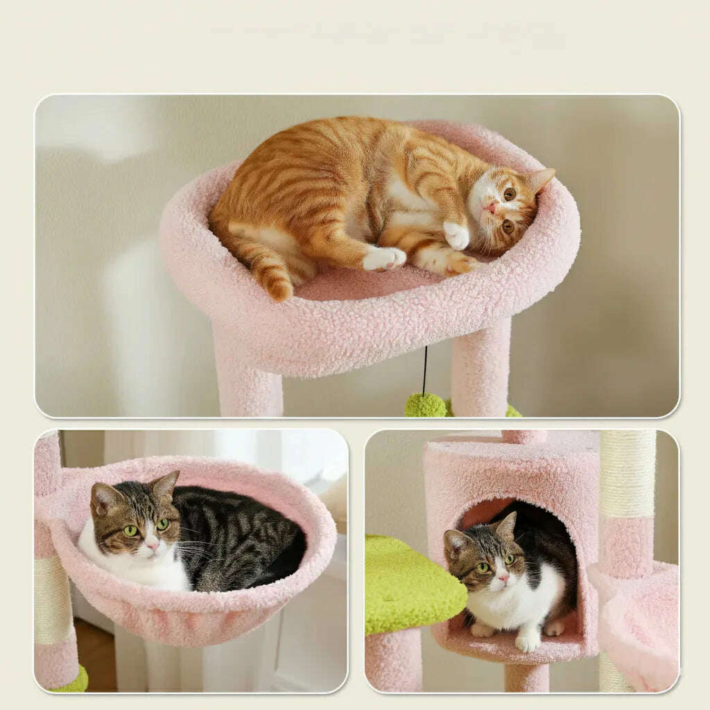 Arbre à chat fleur, plateformes et griffoir sisal