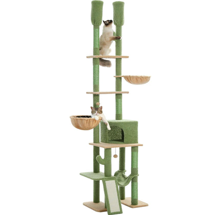 Arbre à chat cactus vert avec sisal