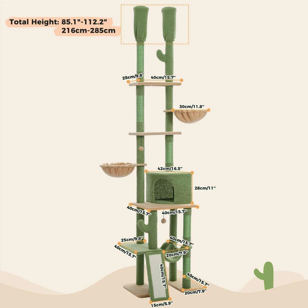 Arbre à chat cactus vert avec sisal