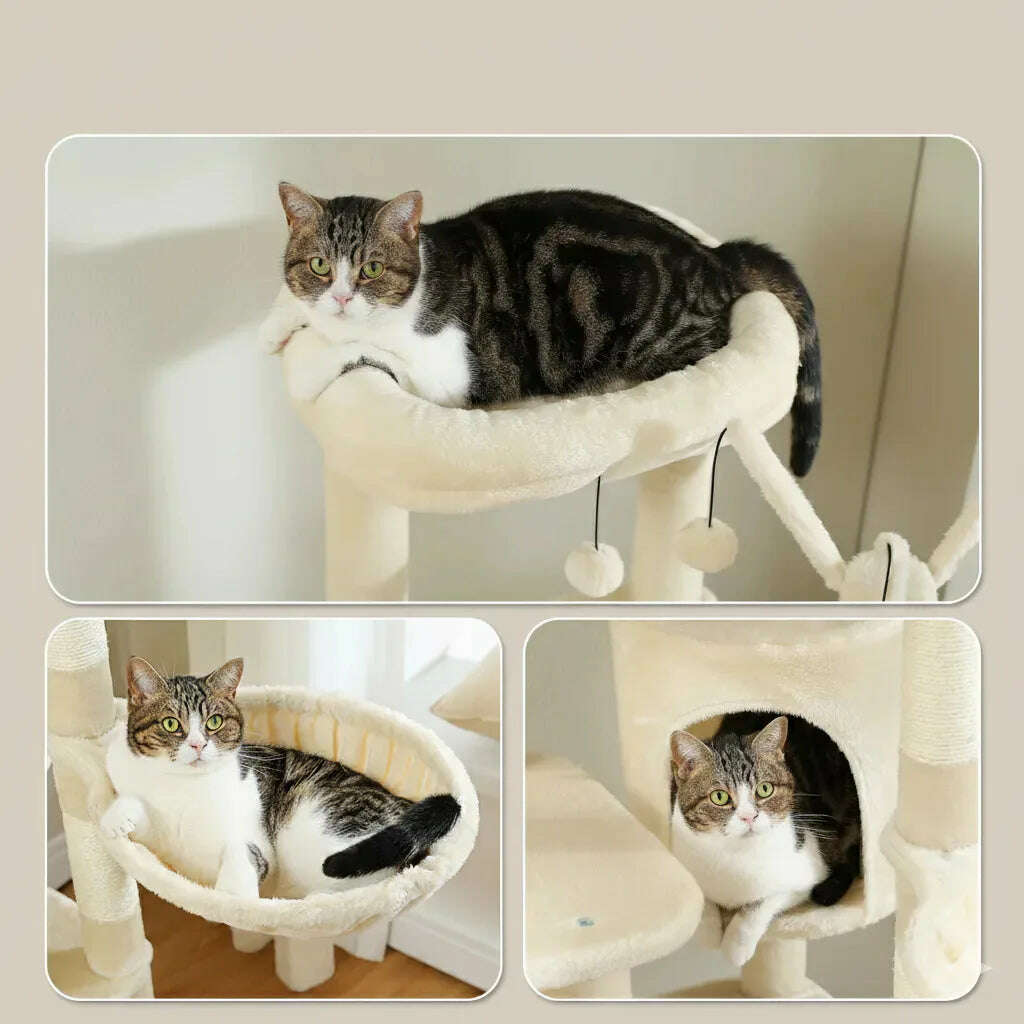 Arbre à chat géant multi-niveaux