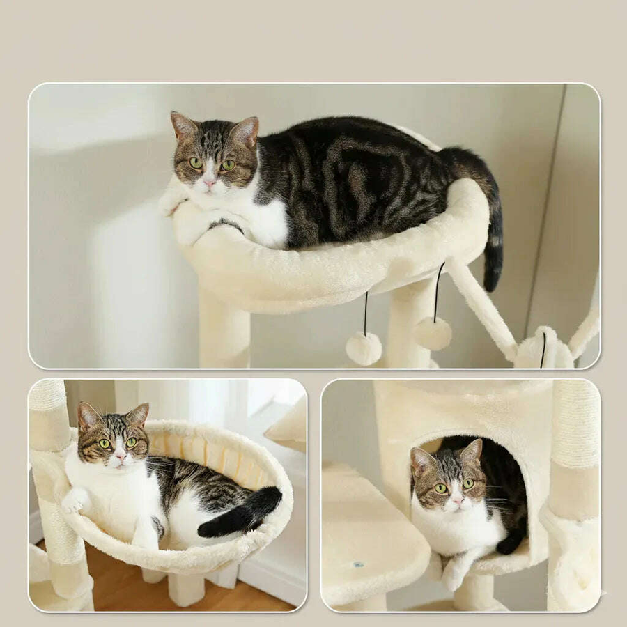 Design & style