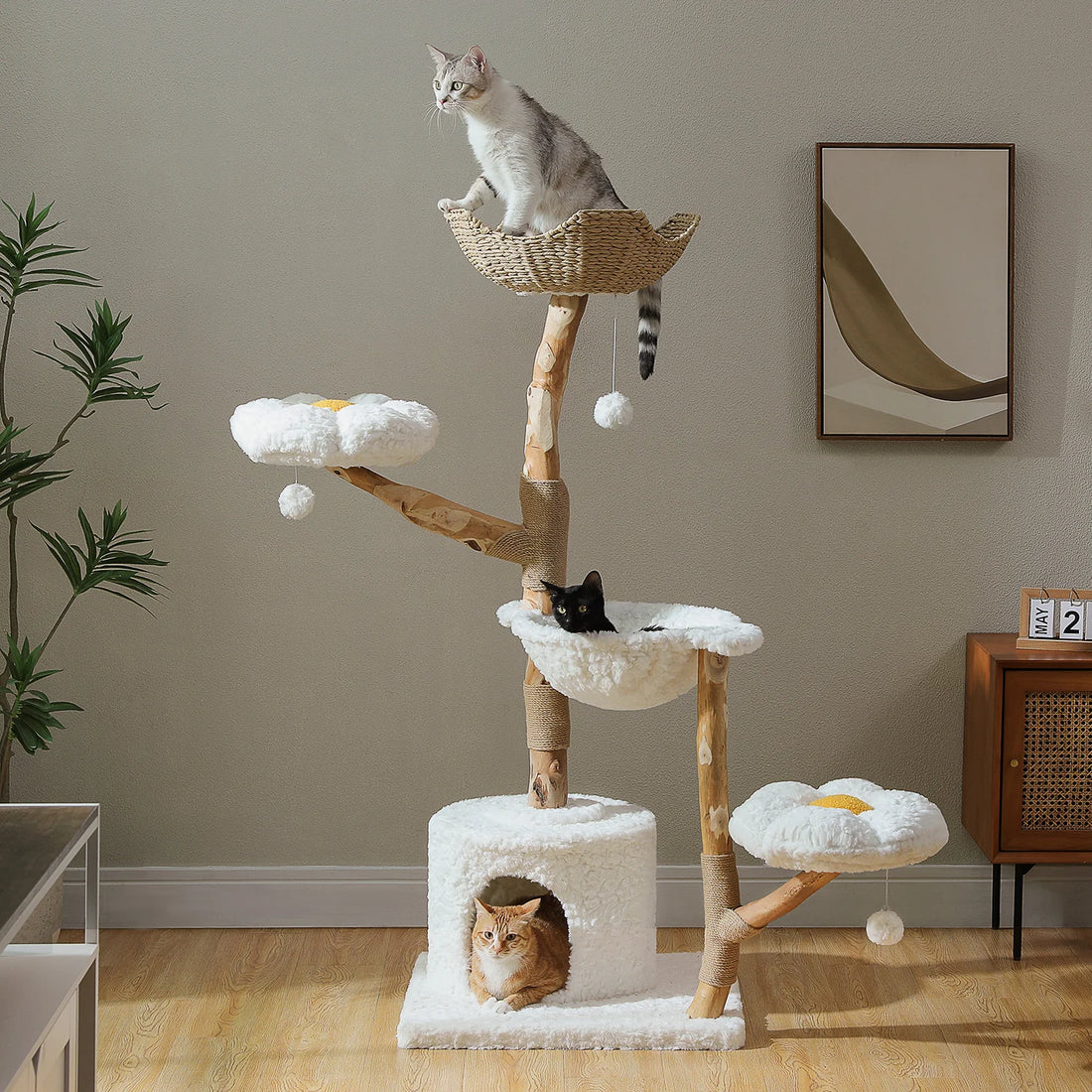 Arbre à chat en bois naturel, vue d'ensemble