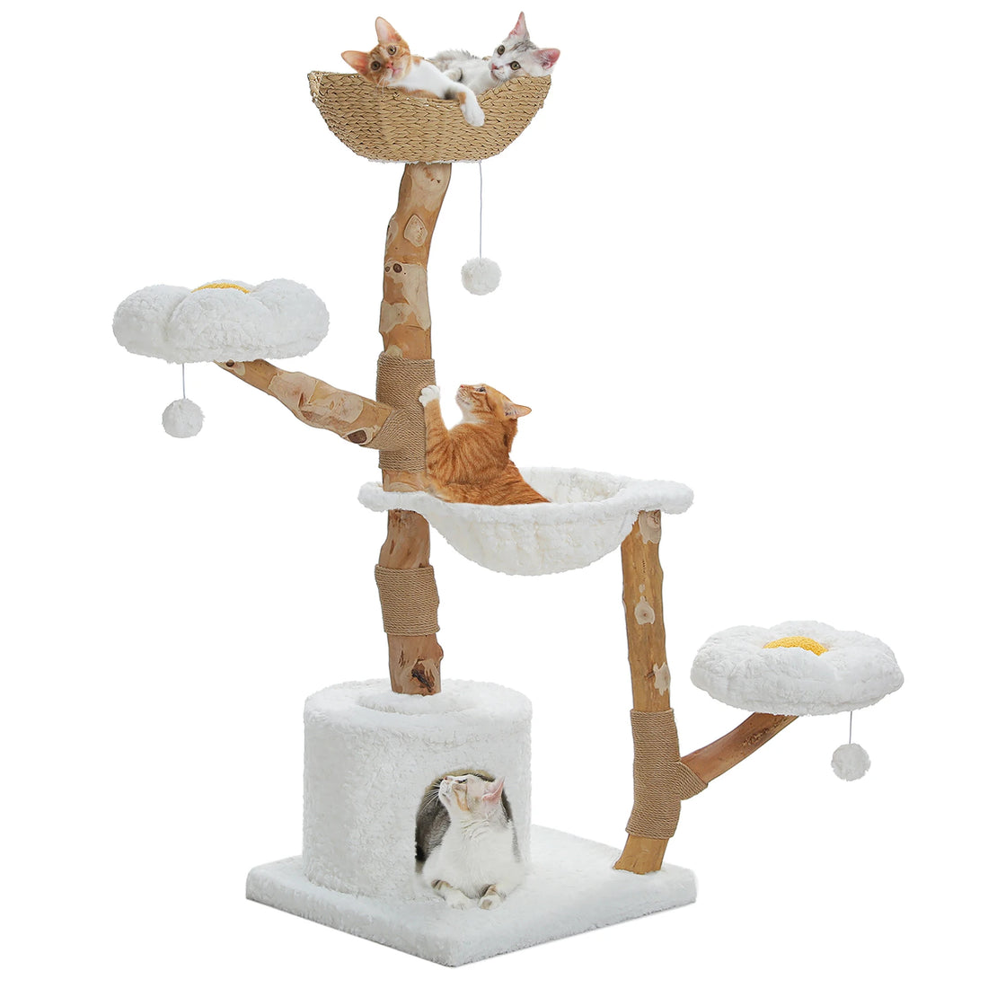 Arbre à chat en bois naturel, vue de côté