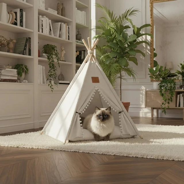 Tipi pour chat