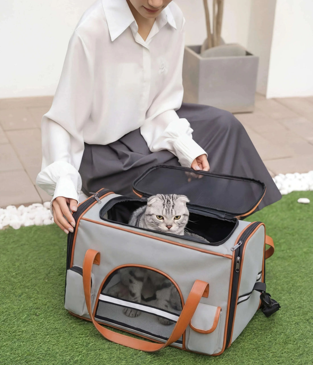 Sac de transport pour chat XXL, Scottish Fold gris tacheté regardant vers l'extérieur