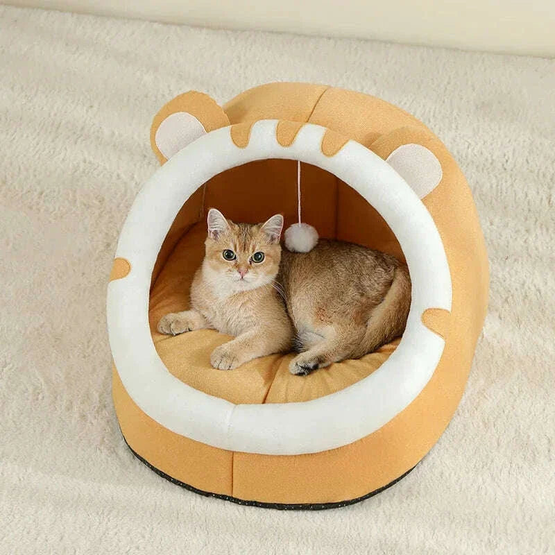 Petite maison pour chat, vue arrière