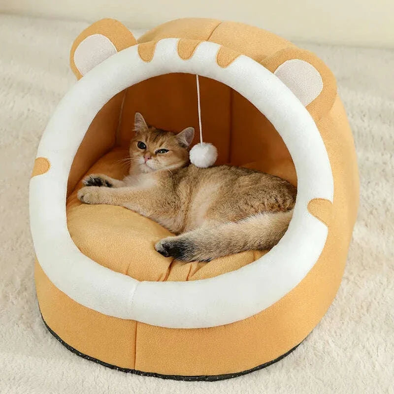 Petite maison pour chat, vue d'ensemble