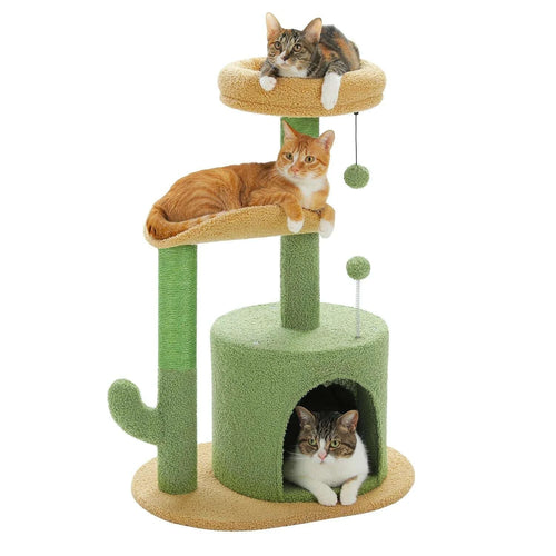 Petit arbre à chat vert