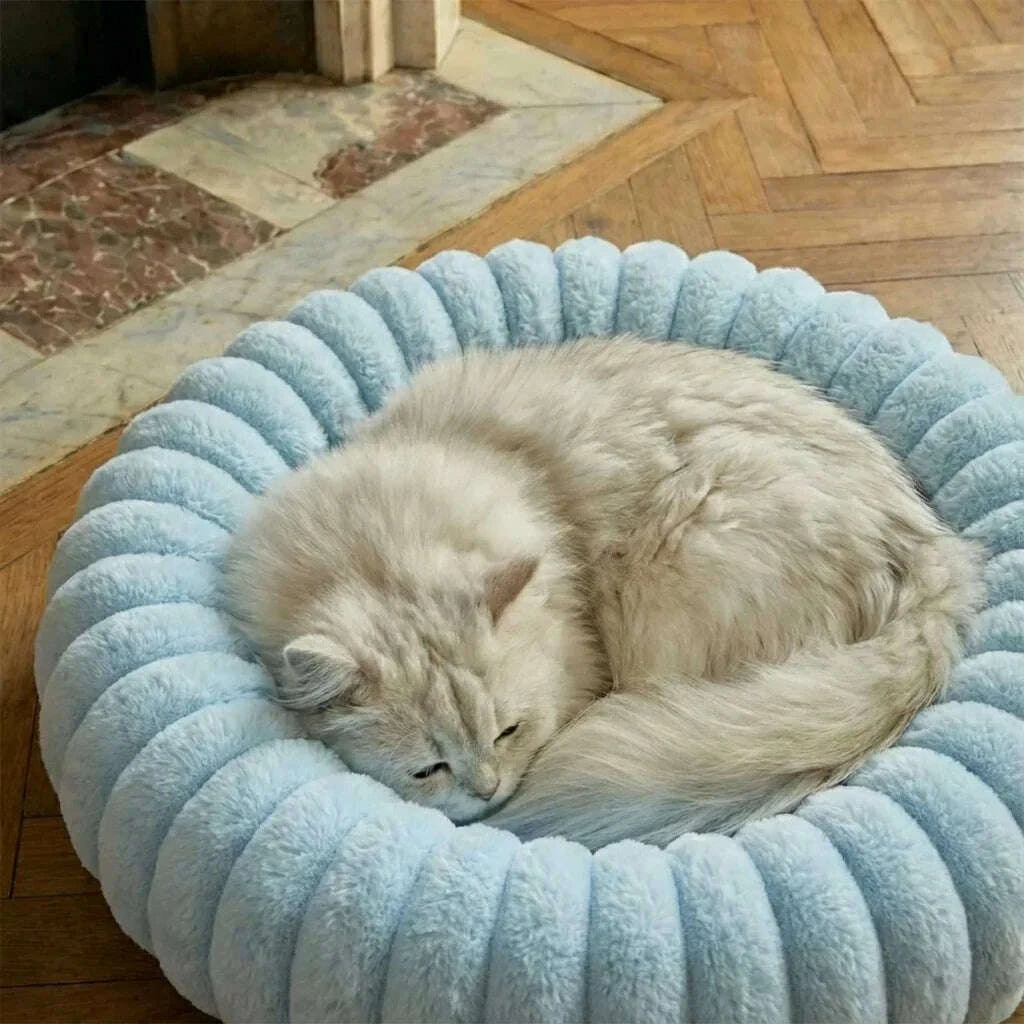 Panier pour chat design, coloris bleu clair