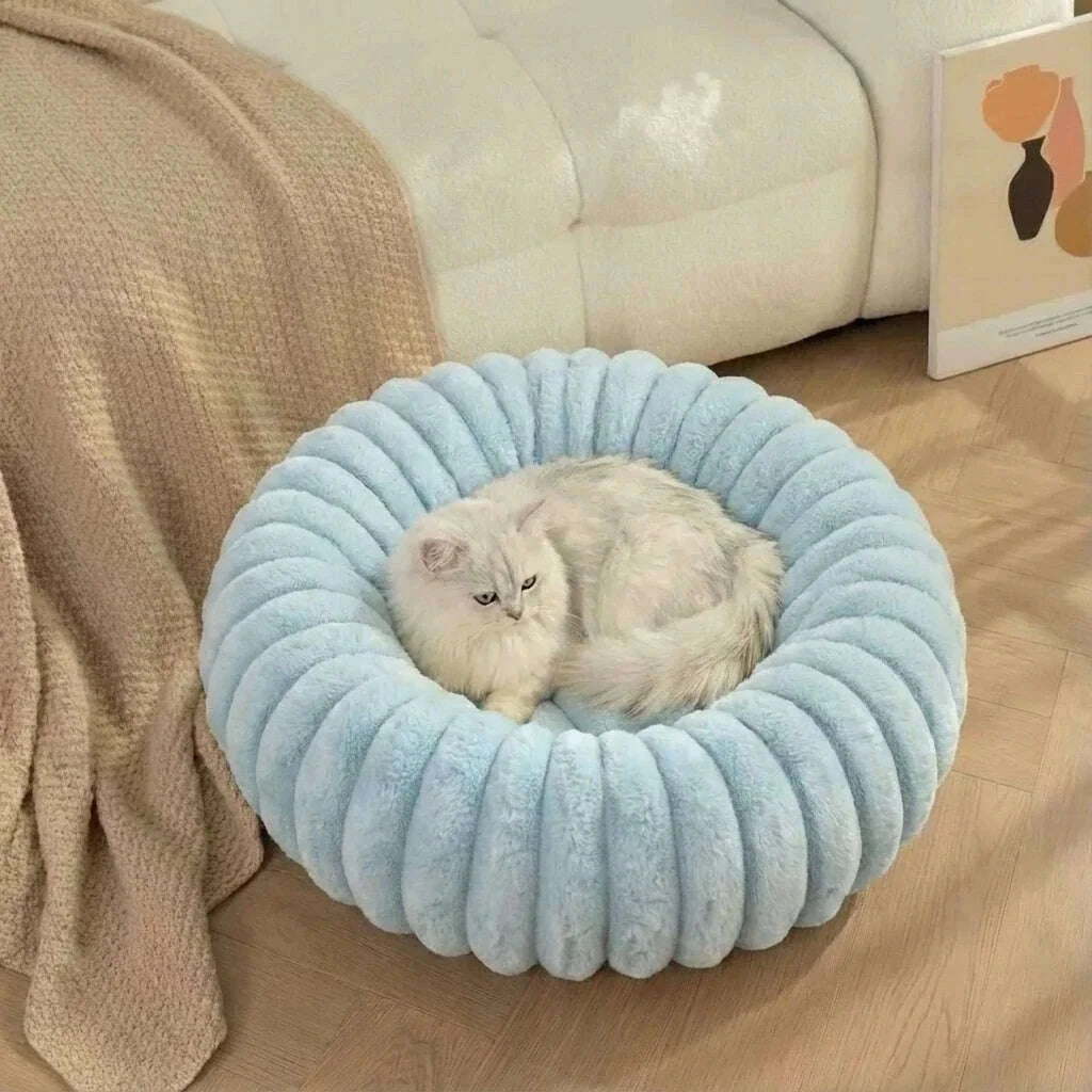Panier pour chat design, coloris bleu clair