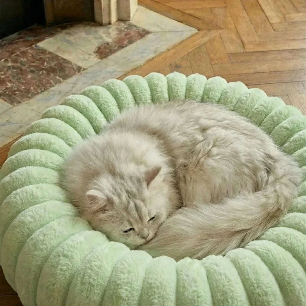 Panier pour chat design, coloris bleu clair