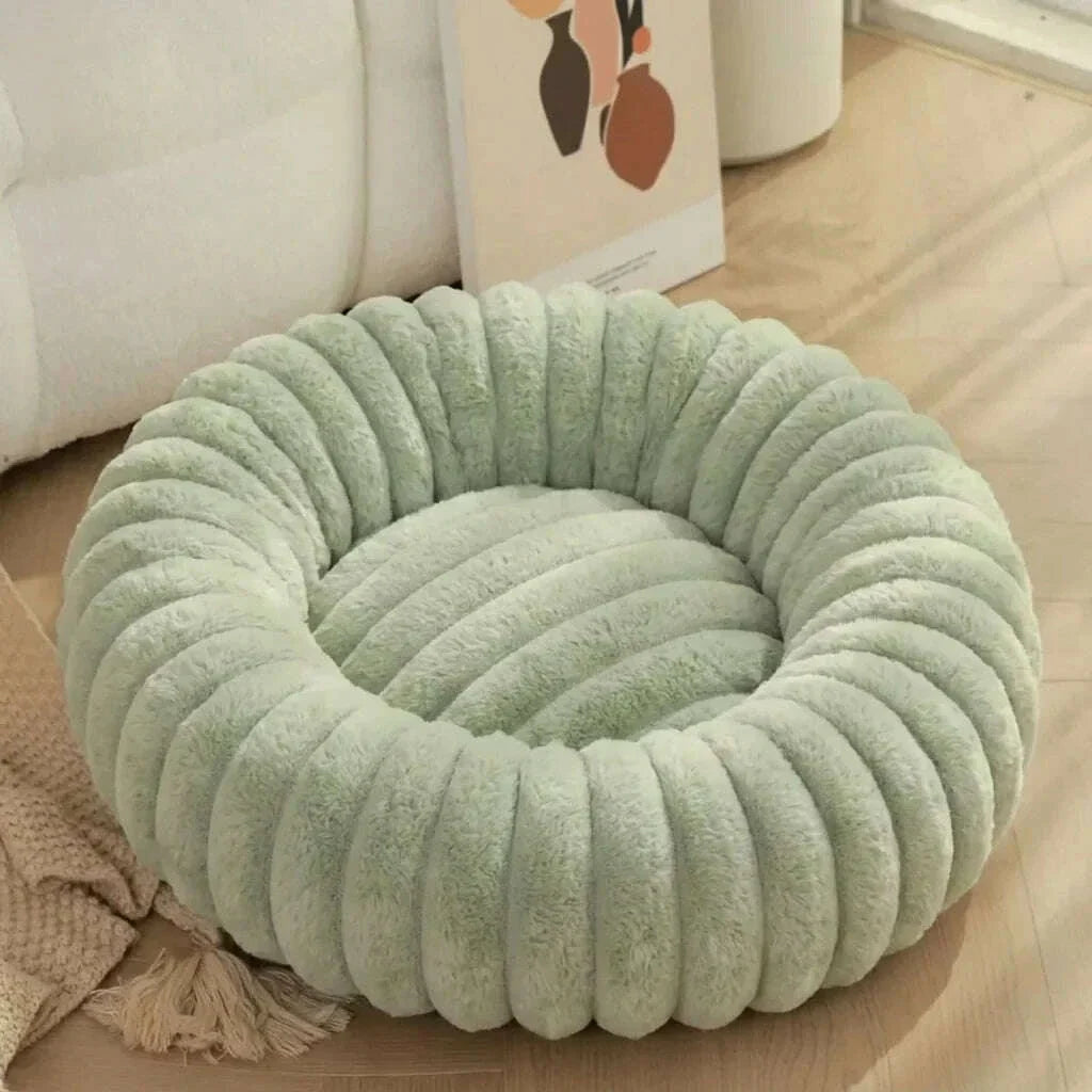 Panier pour chat design, coloris bleu clair