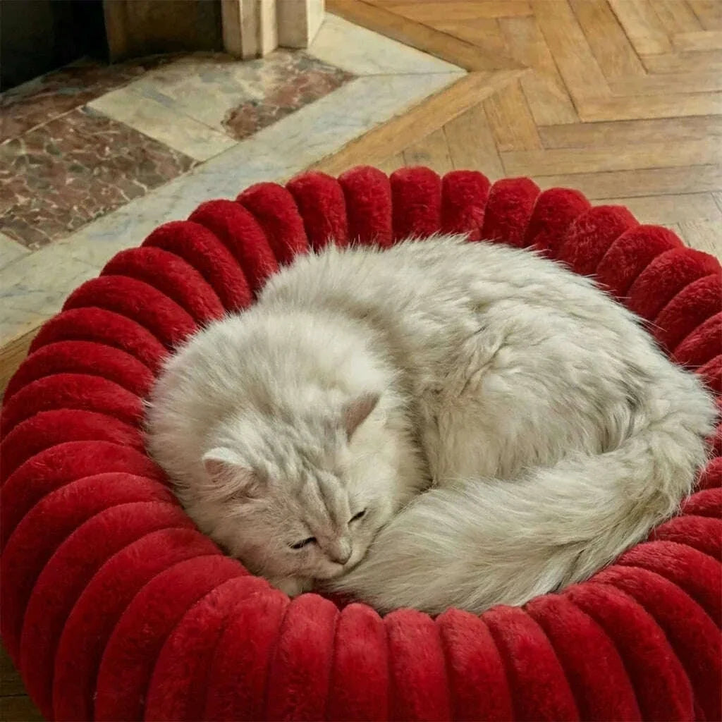Panier pour chat design, coloris bleu clair