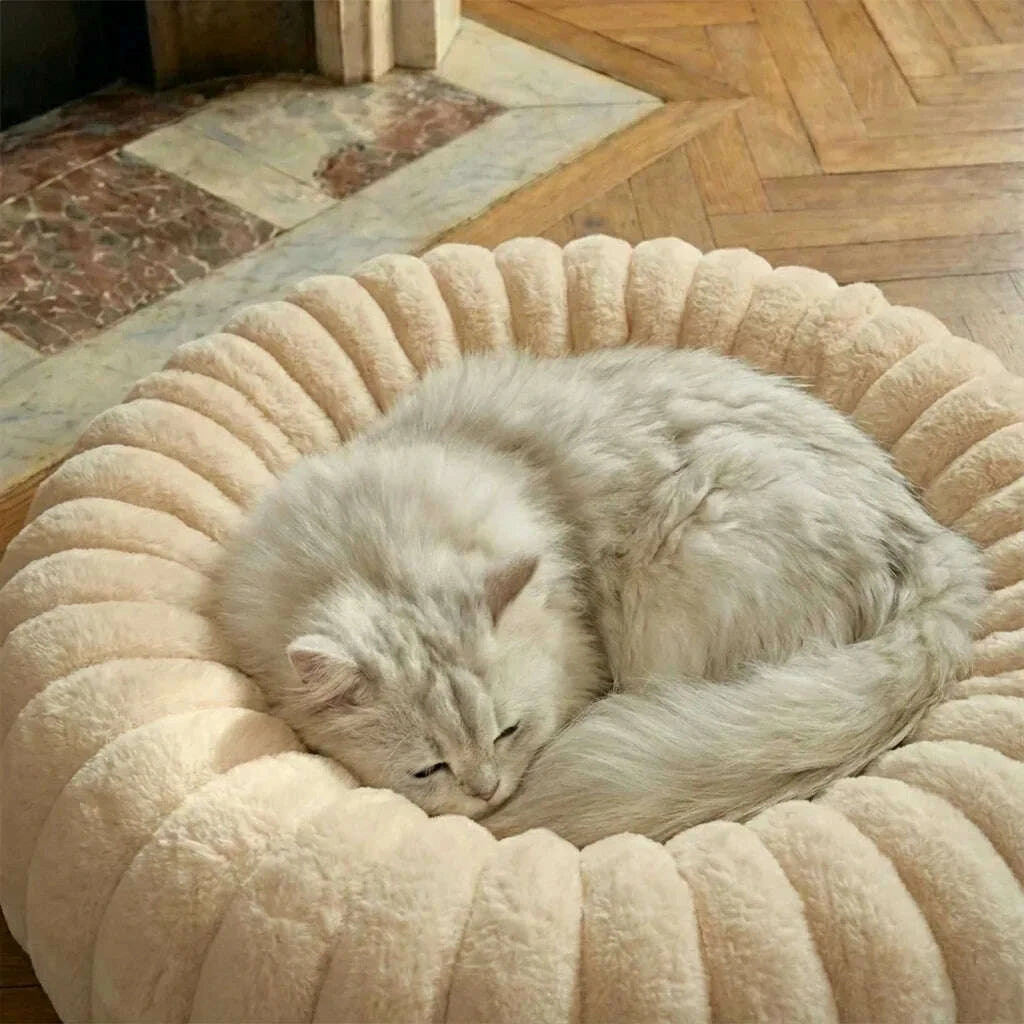 Panier pour chat beige, rond et moelleux