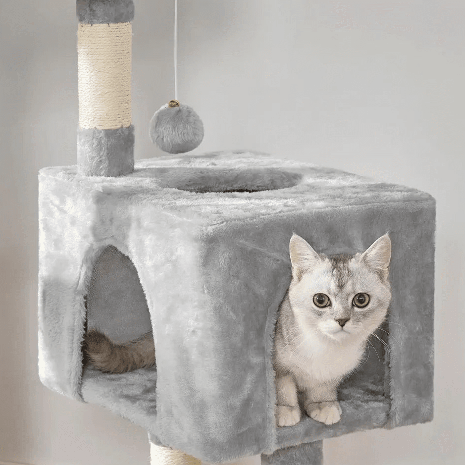 Chat tigré regardant depuis l'arche de la maisonnette en peluche grise, boule-jouet suspendue