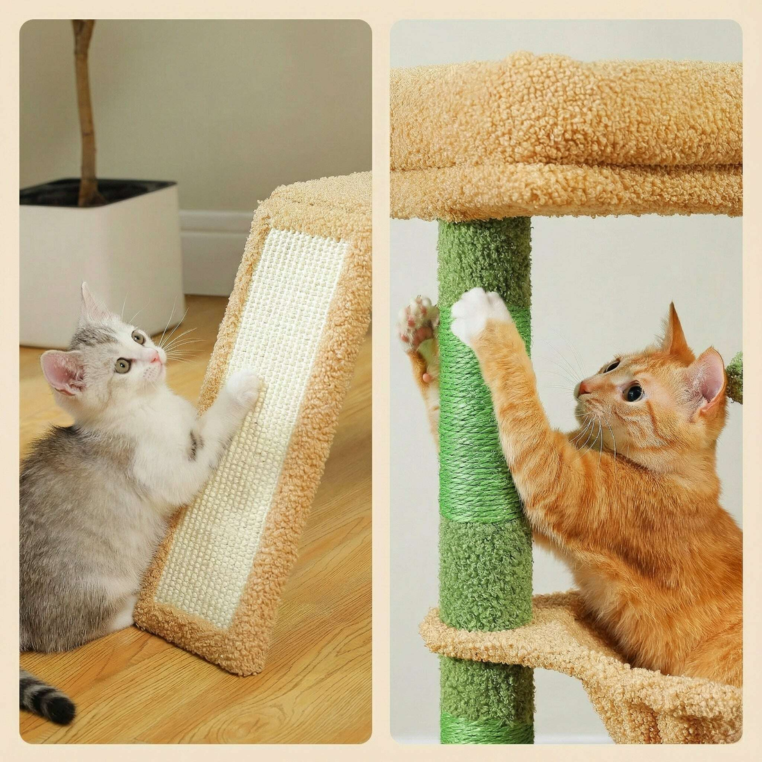Petit arbre à chat avec hamac, détail du sisal
