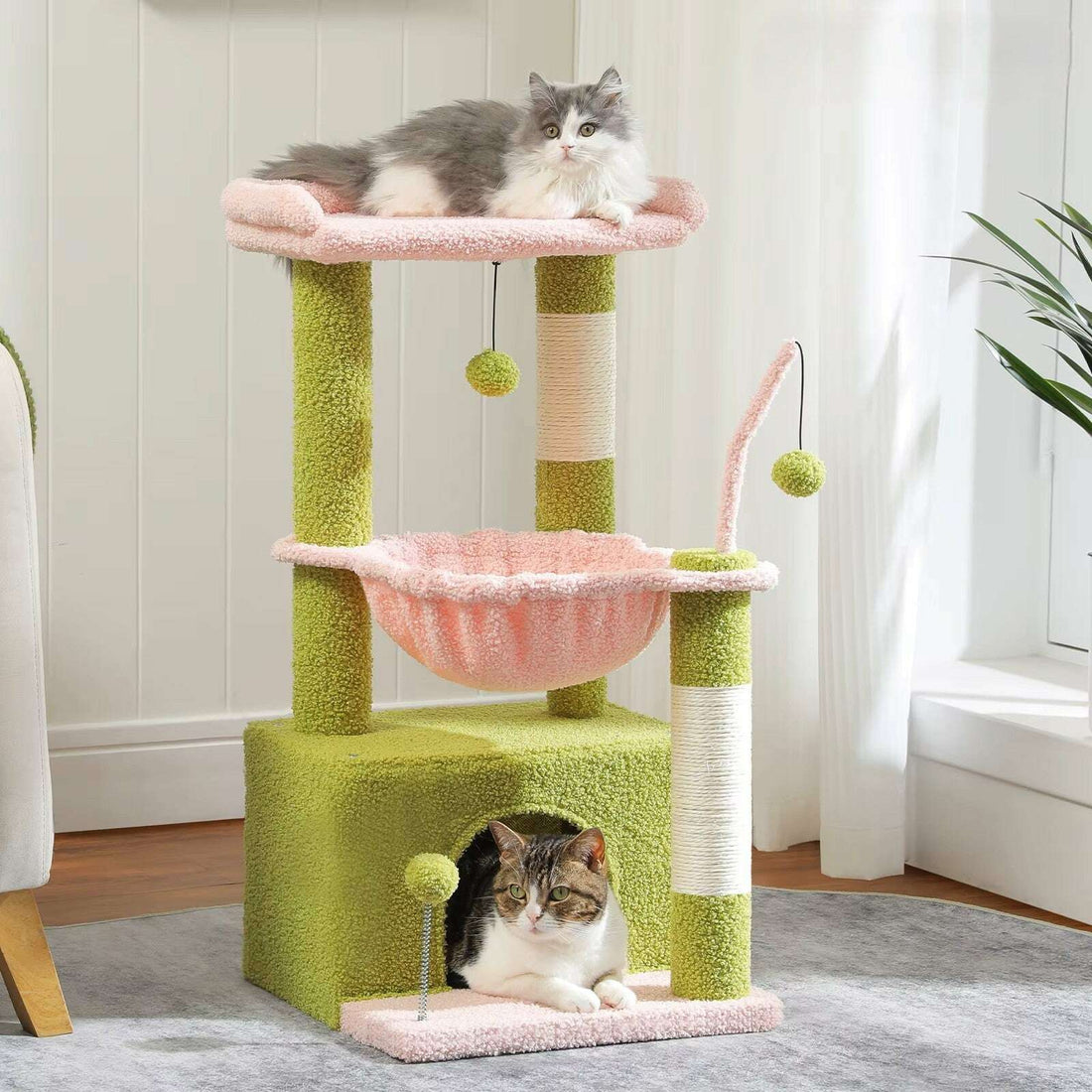Coloris vert et rose dans un intérieur clair, chat persan gris allongé sur le perchoir